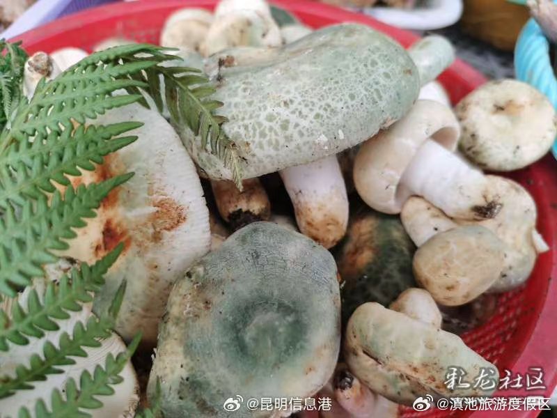 滇池旅游度假区