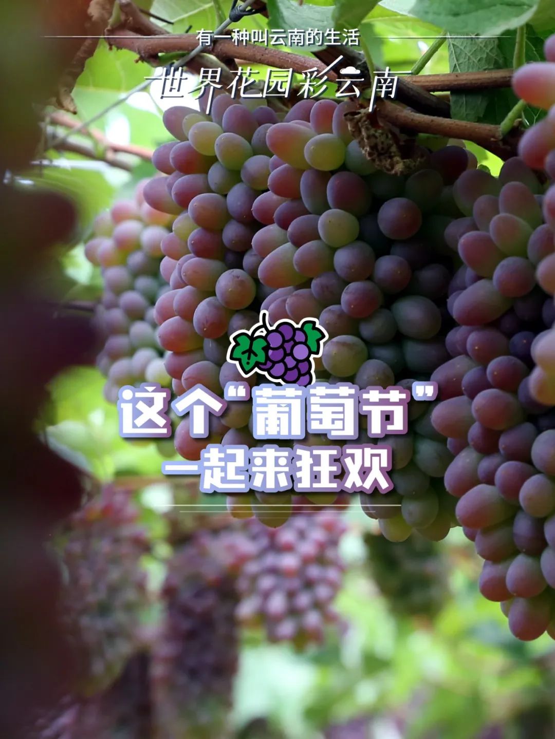 云南省文化和旅游厅