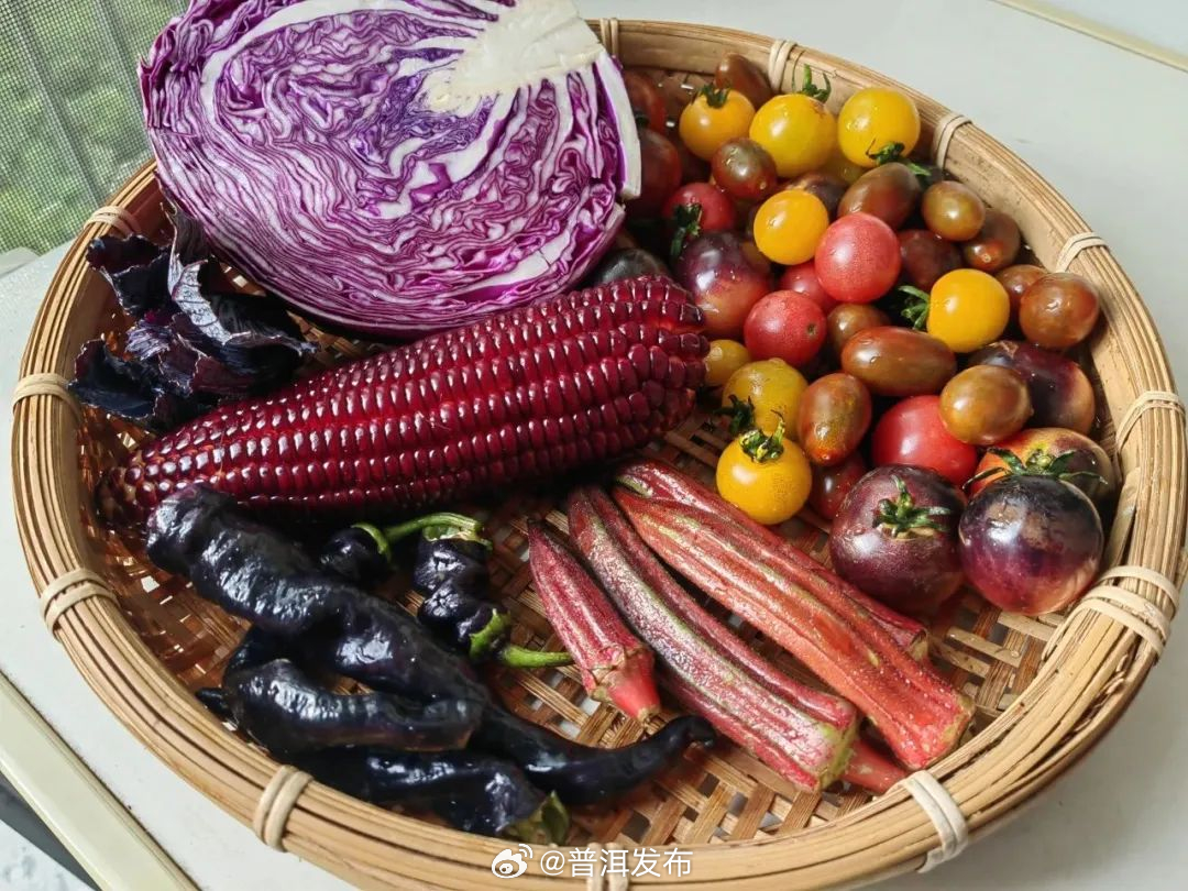普洱发布