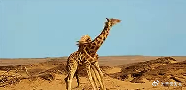 转脖子可能是个危险动作 