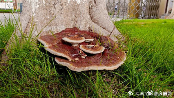 滇池旅游度假区