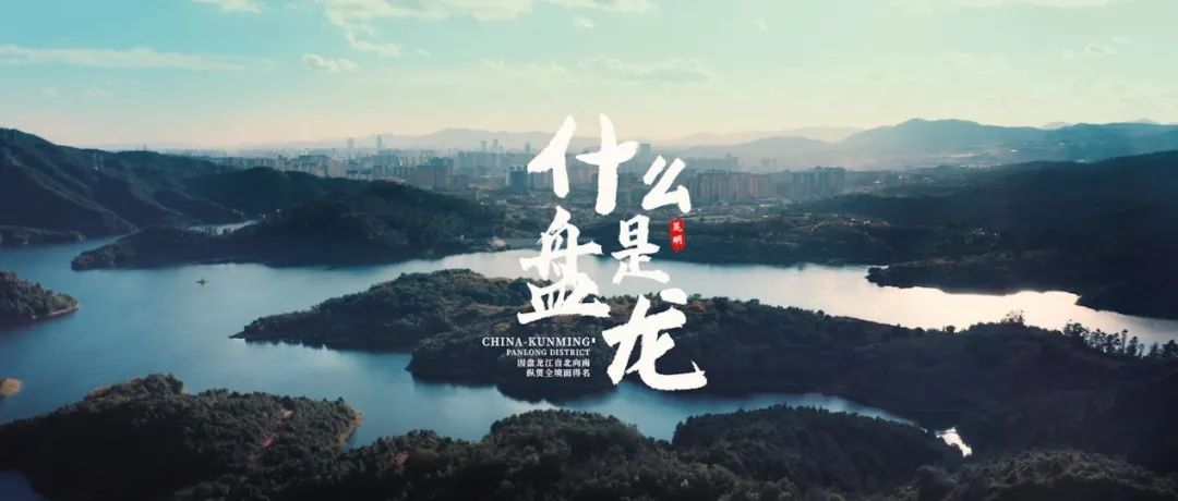 微观盘龙