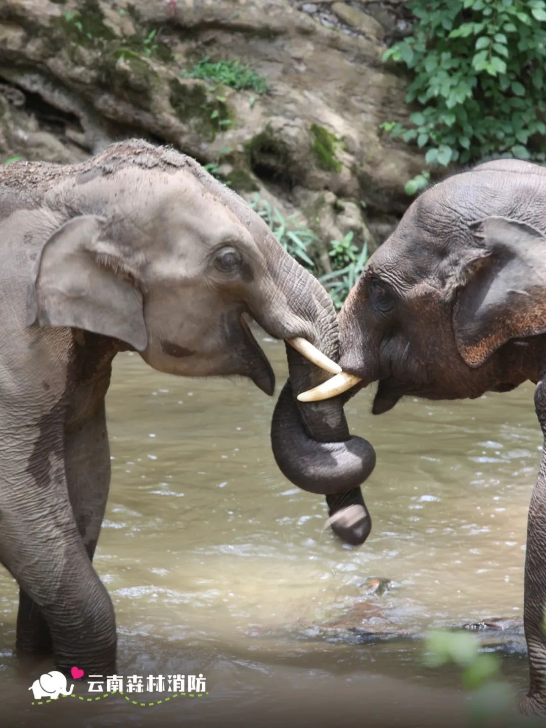 云南省文化和旅游厅