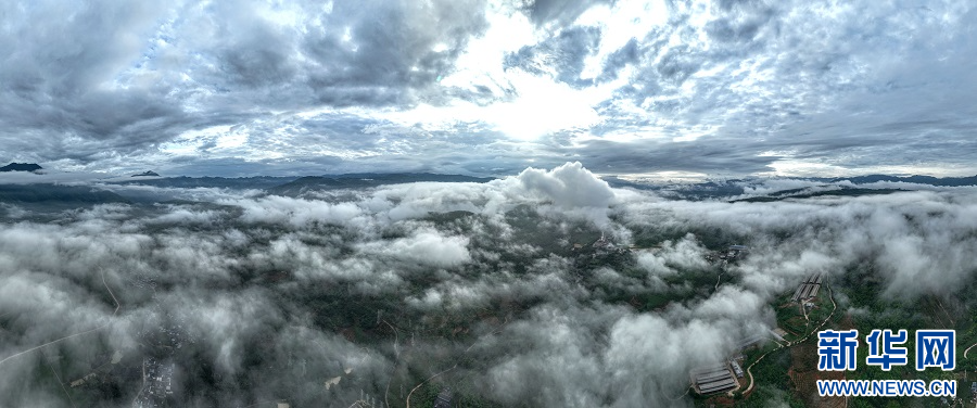 云南省文化和旅游厅