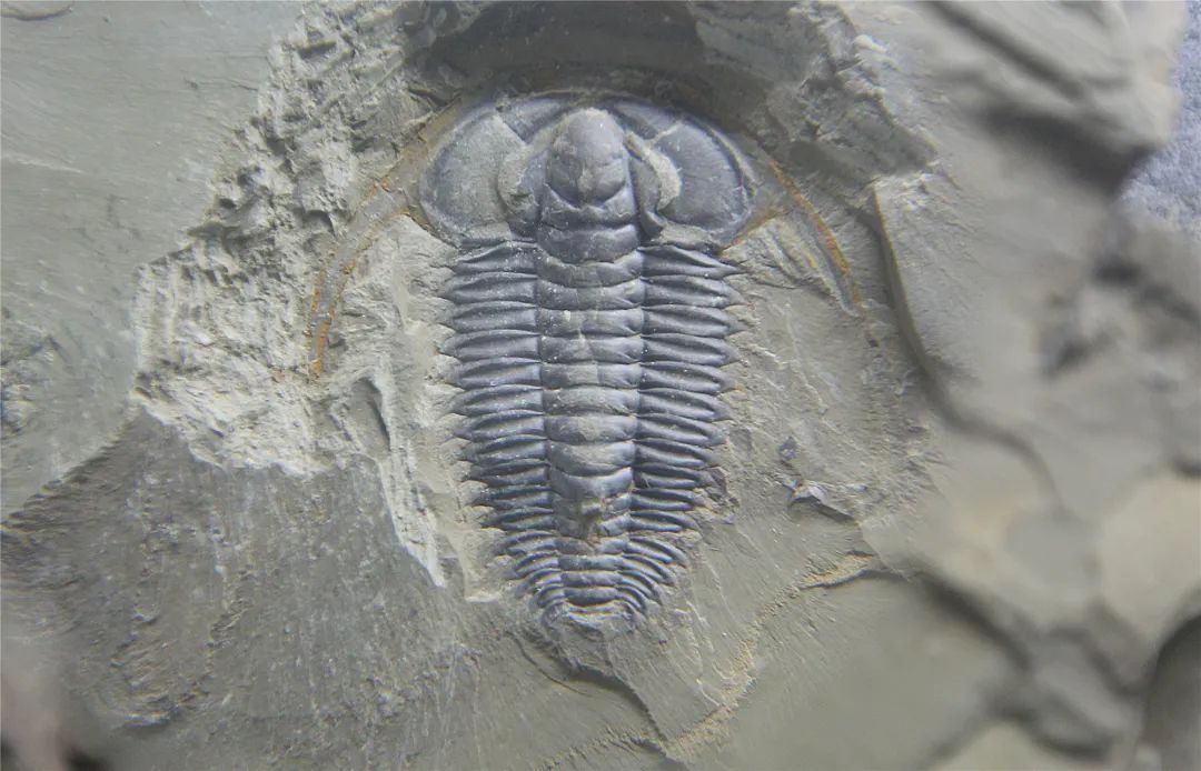 晋宁诗意的栖居地