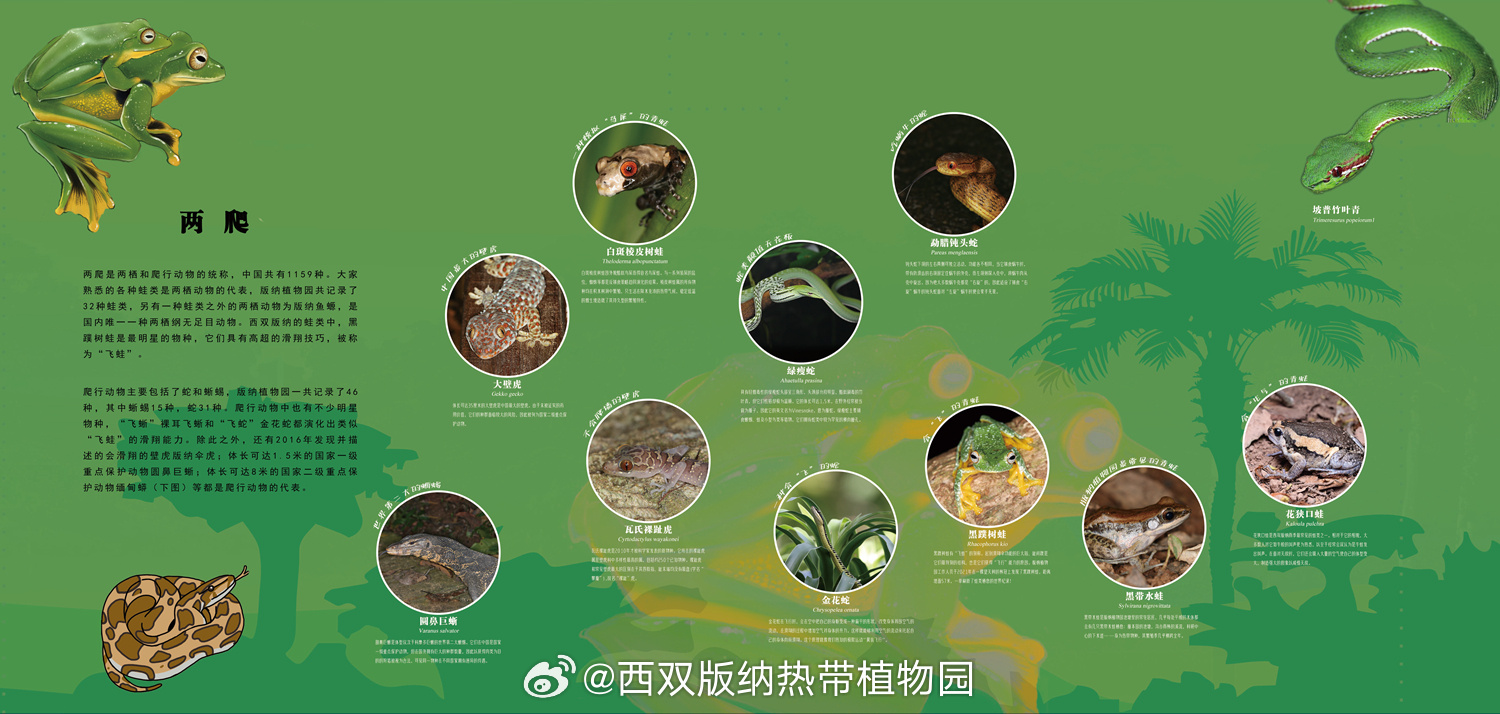 西双版纳热带植物园