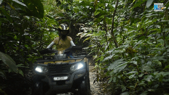 云南省文化和旅游厅