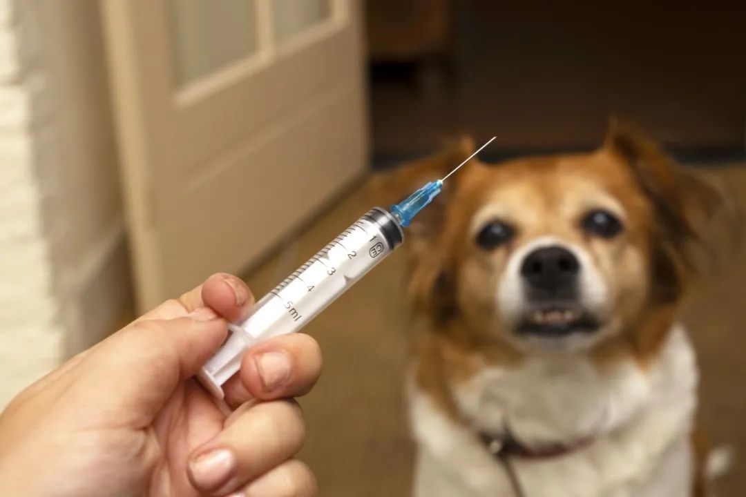 云南疾控