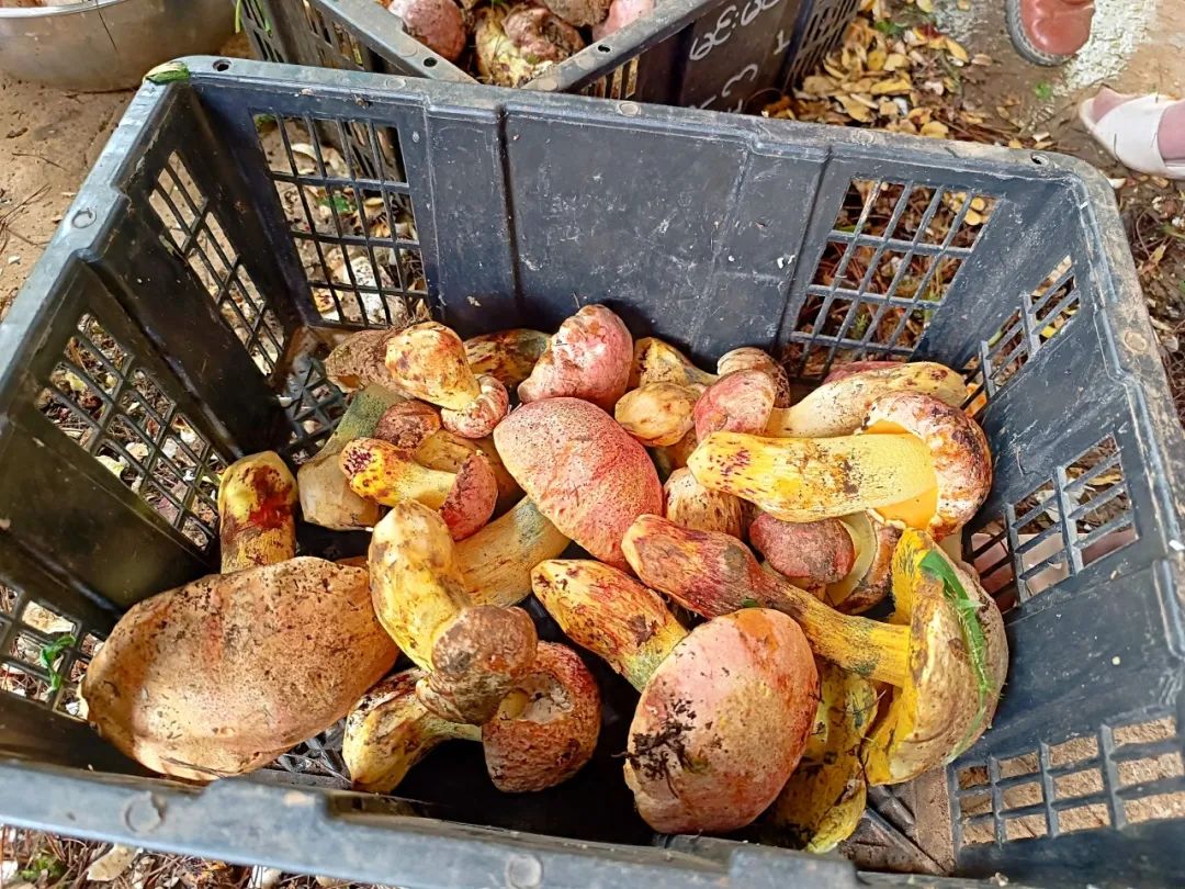 晋宁诗意的栖居地