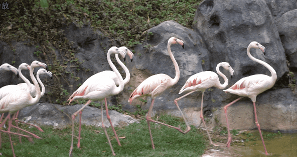 昆明市西山区图书馆