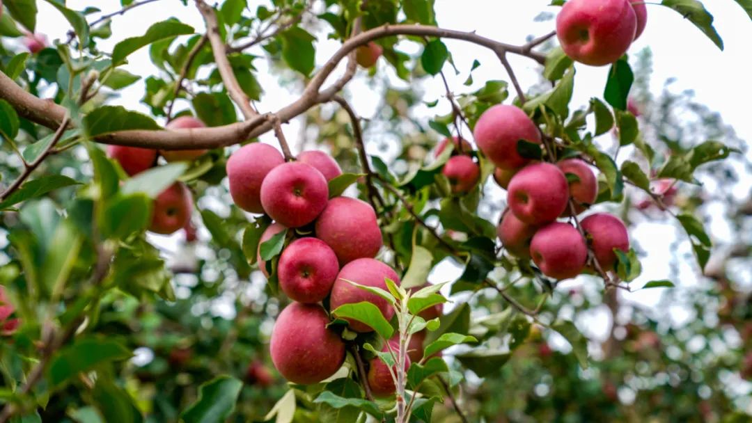 晋宁诗意的栖居地