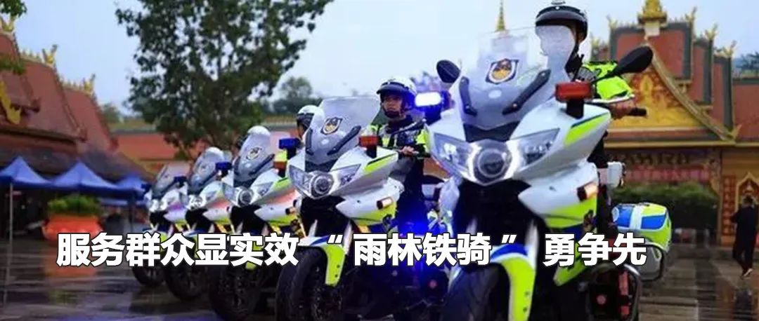 云南政法