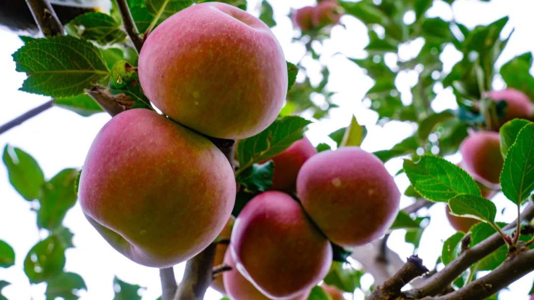 晋宁诗意的栖居地