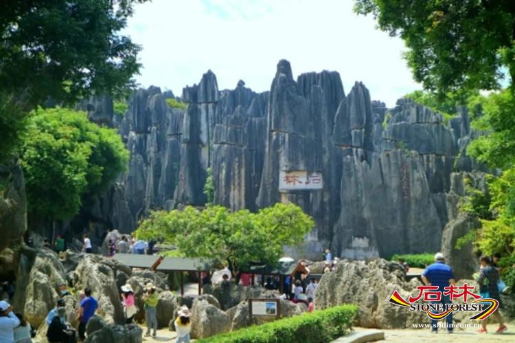石林旅游网