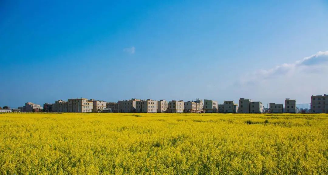 晋宁诗意的栖居地