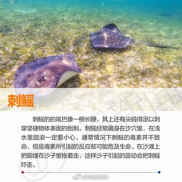 昆明信息港微博