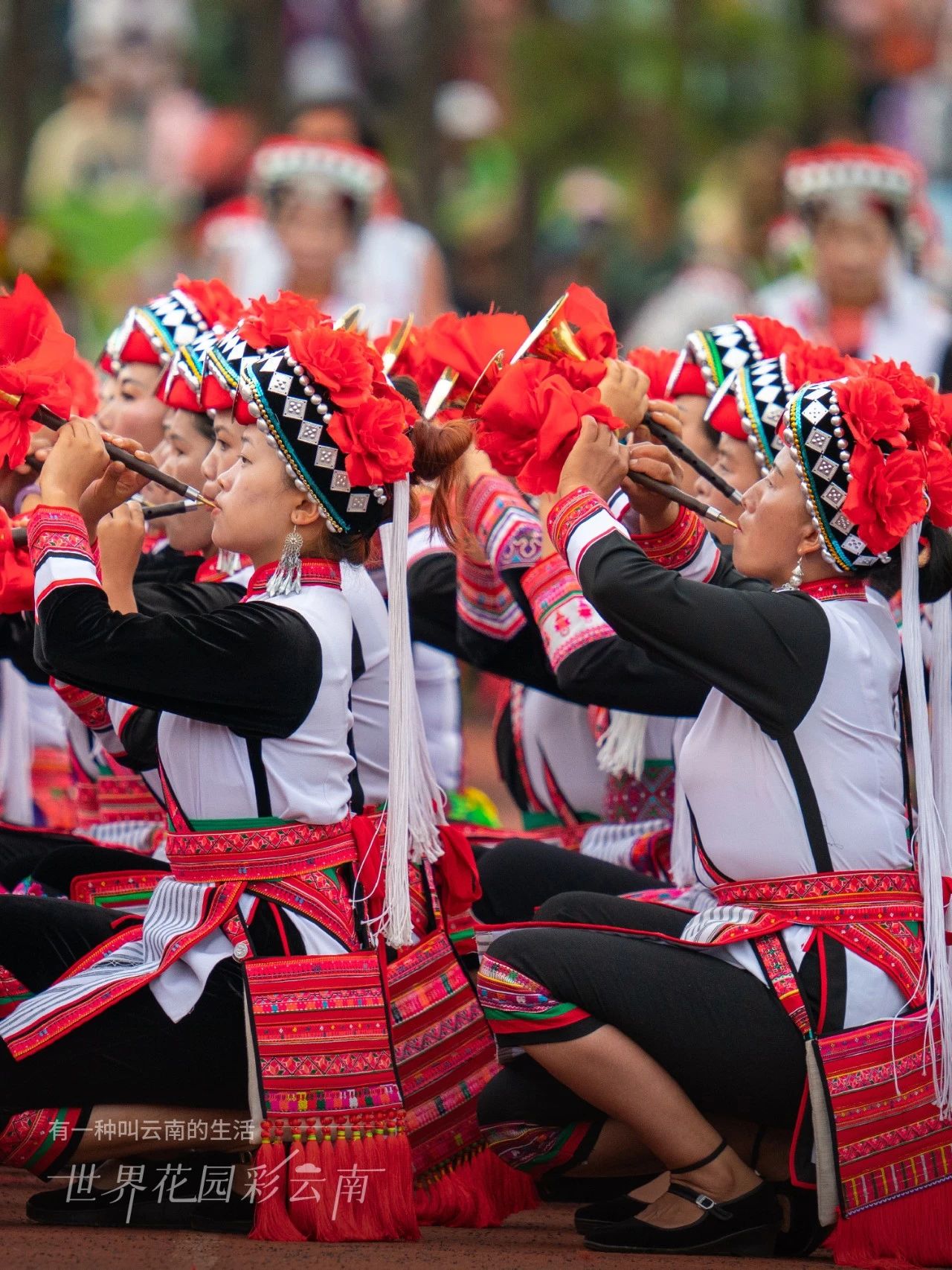 云南省文化和旅游厅