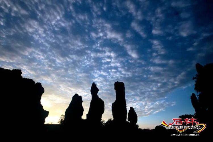 石林旅游网