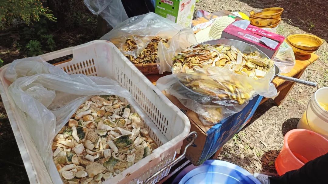 晋宁诗意的栖居地