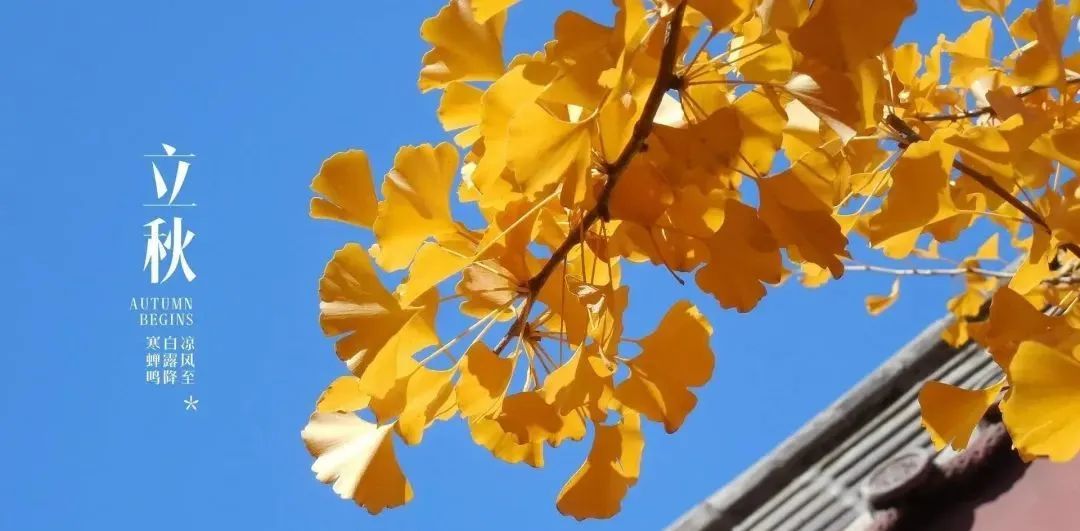 昆明西山教育体育