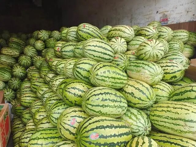 掌上春城微信
