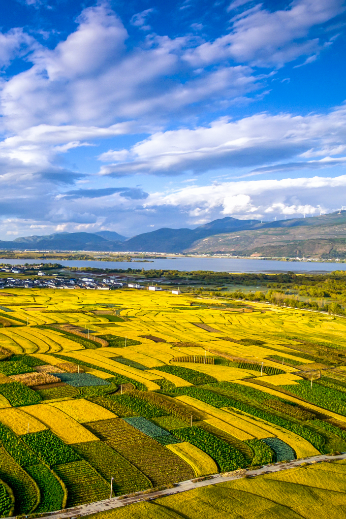 云南省文化和旅游厅