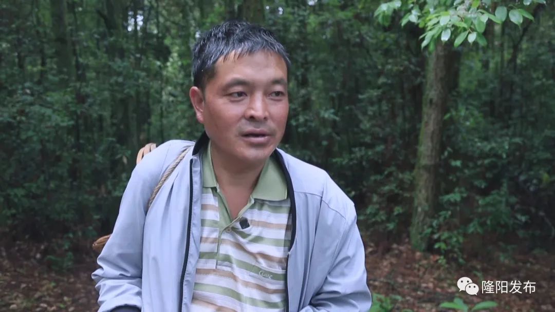 保山新闻网