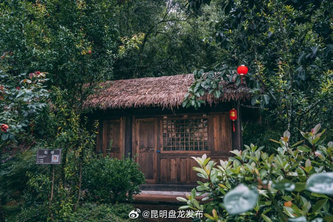 昆明盘龙发布