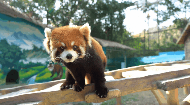 昆明市西山区图书馆