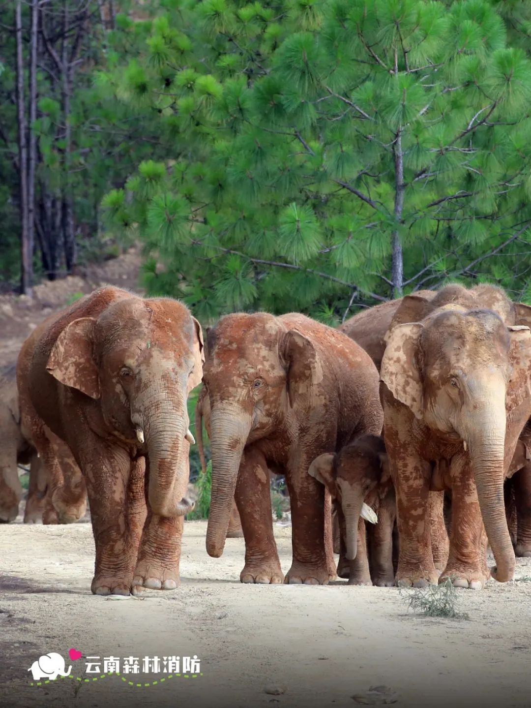 云南省文化和旅游厅