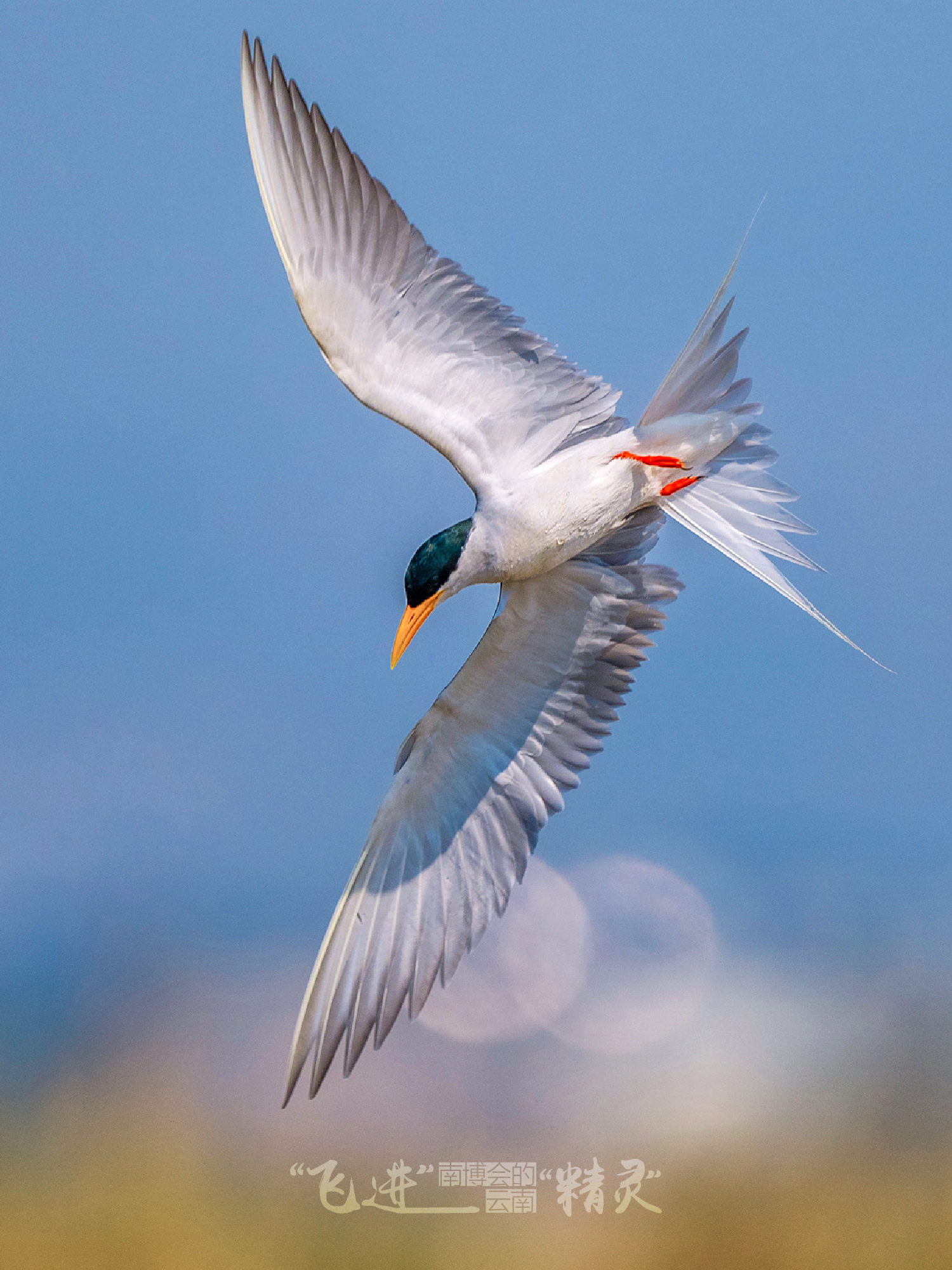 云南省文化和旅游厅