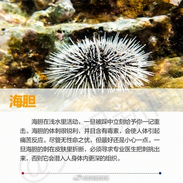 昆明信息港微博