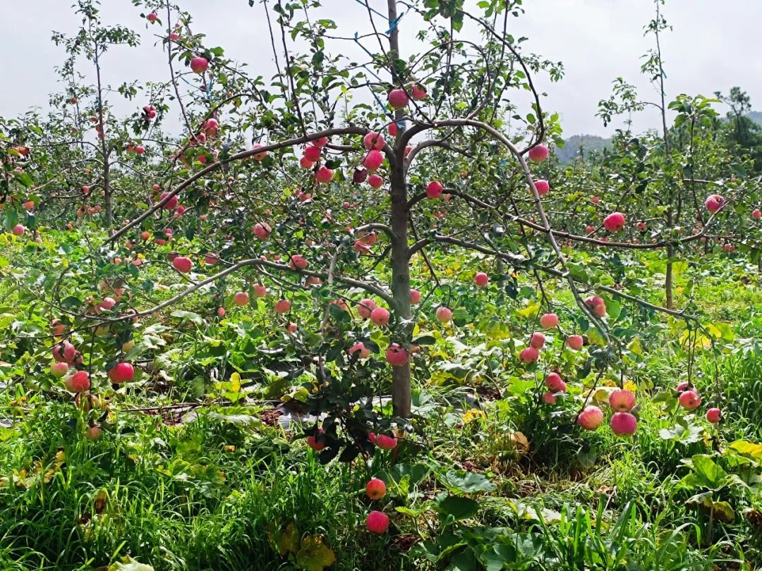 晋宁诗意的栖居地