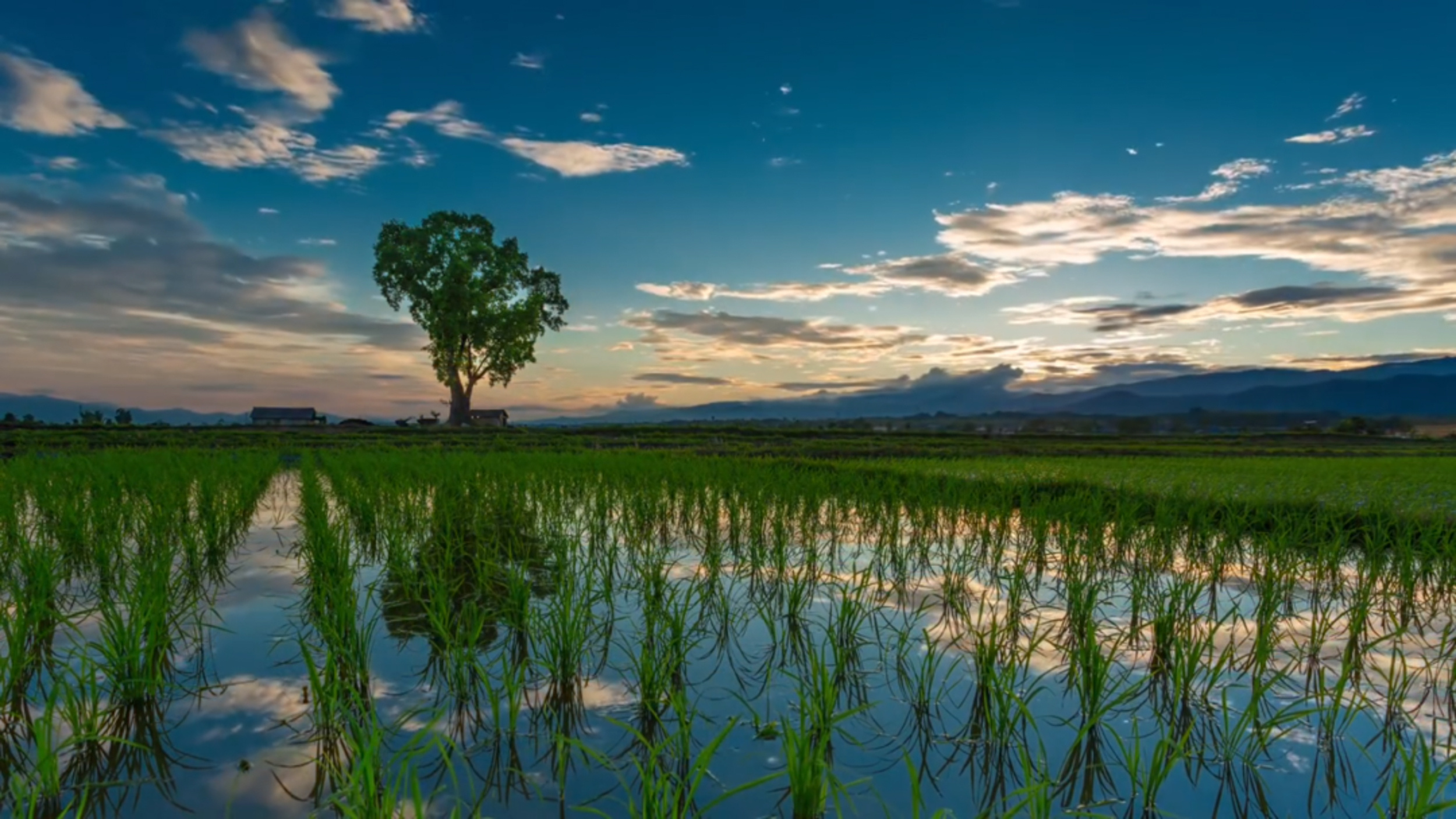 云南省文化和旅游厅