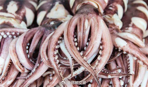 昆明交警