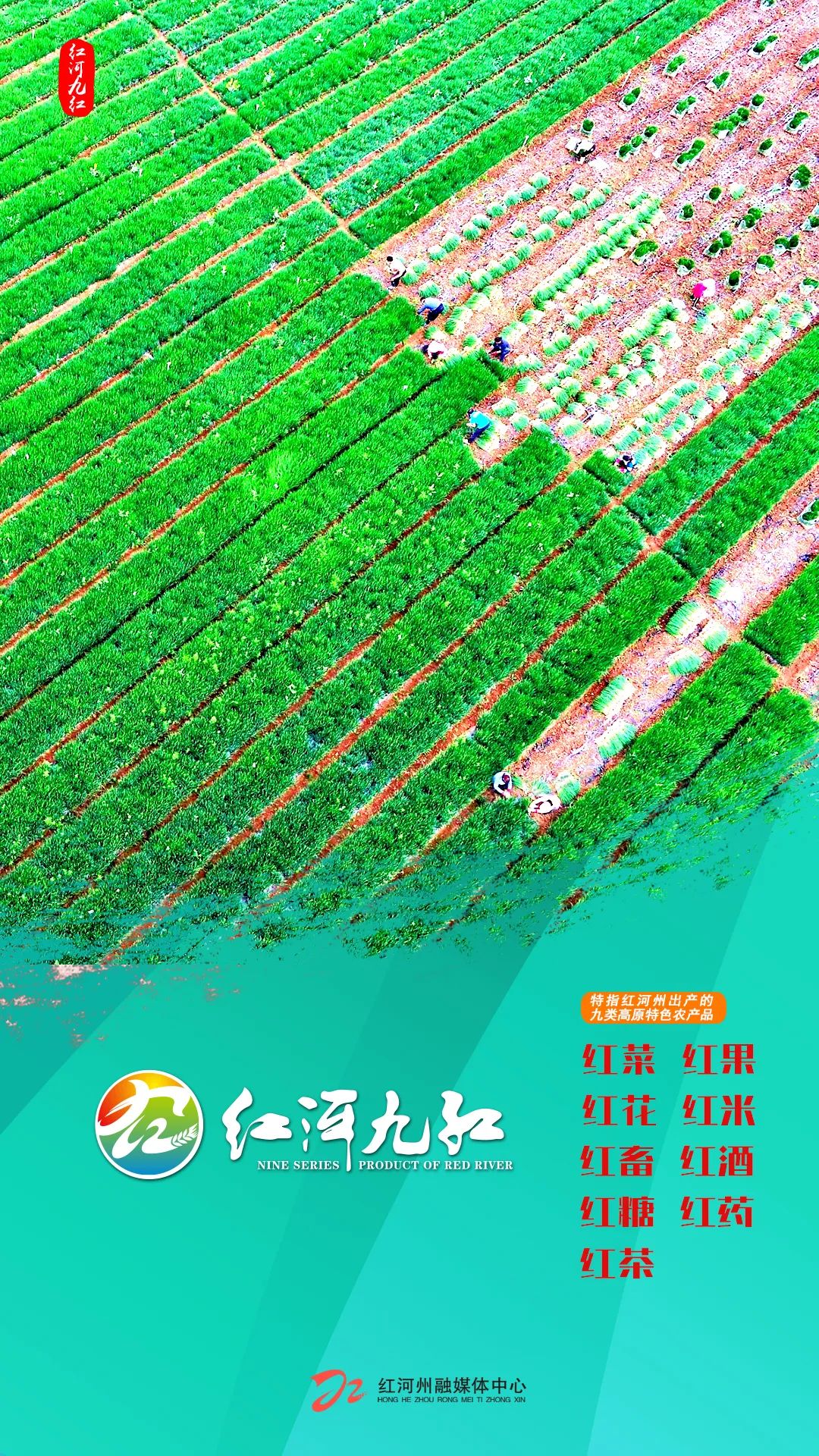 红河文旅