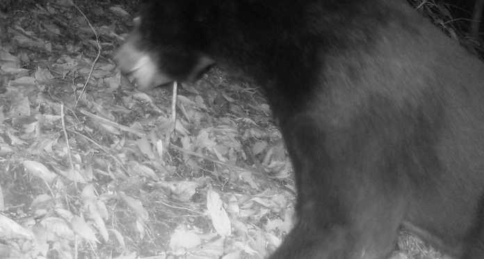 昆明信息港/cnkmxxg