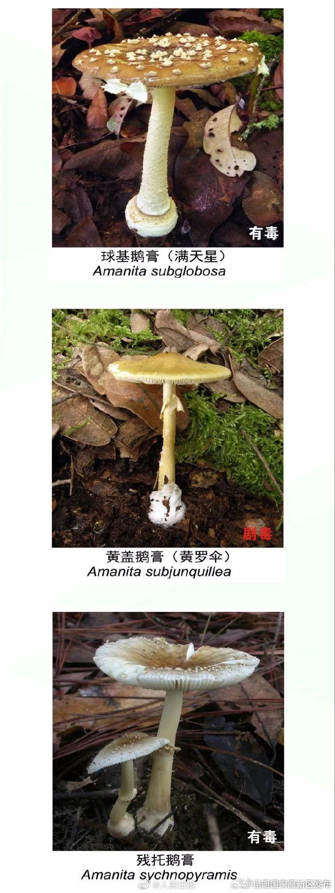 昆明国家高新区发布