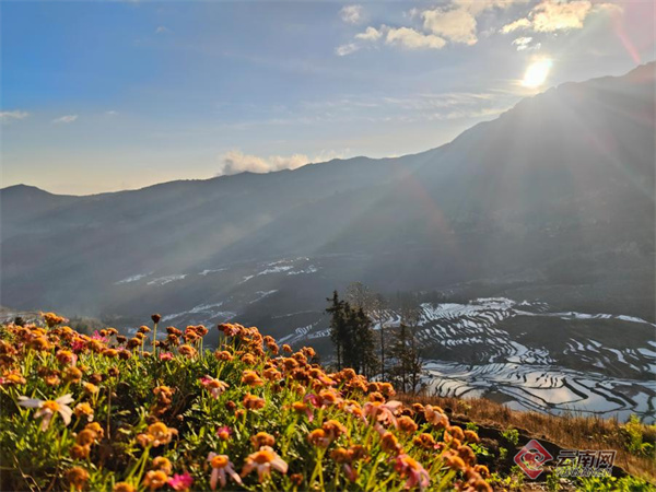 云南省文化和旅游厅