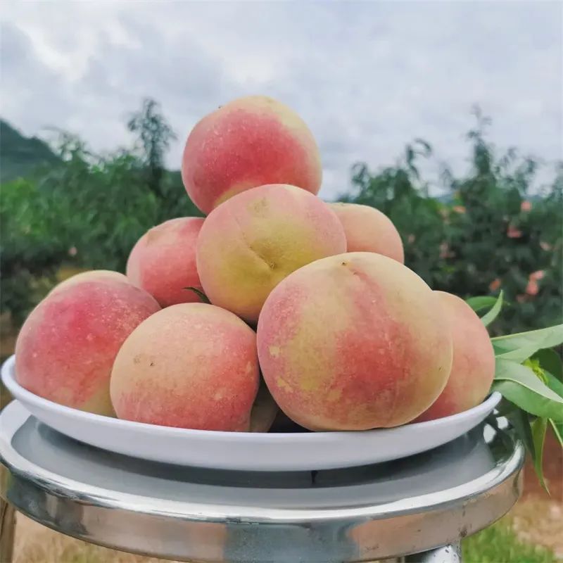 红河文旅