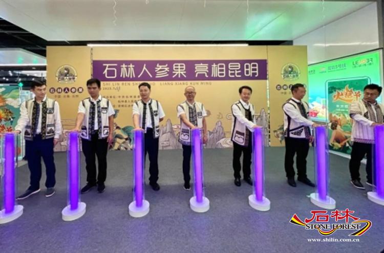 石林旅游网