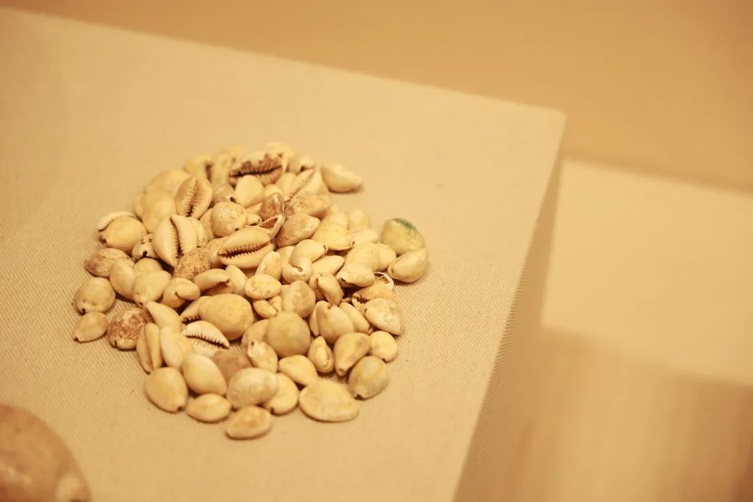 云南省文化和旅游厅