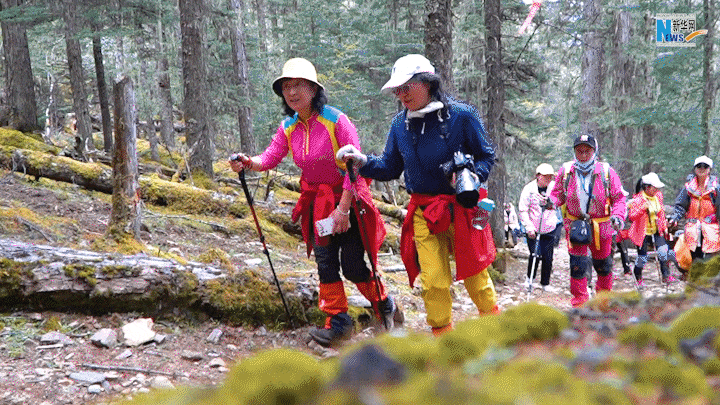 云南省文化和旅游厅