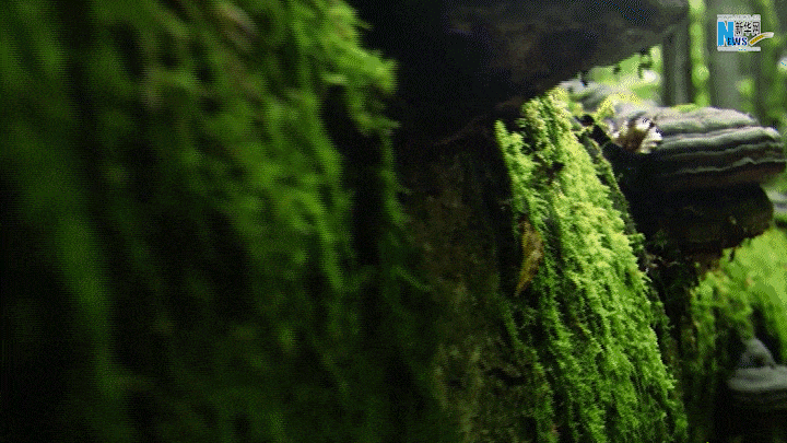 云南省文化和旅游厅