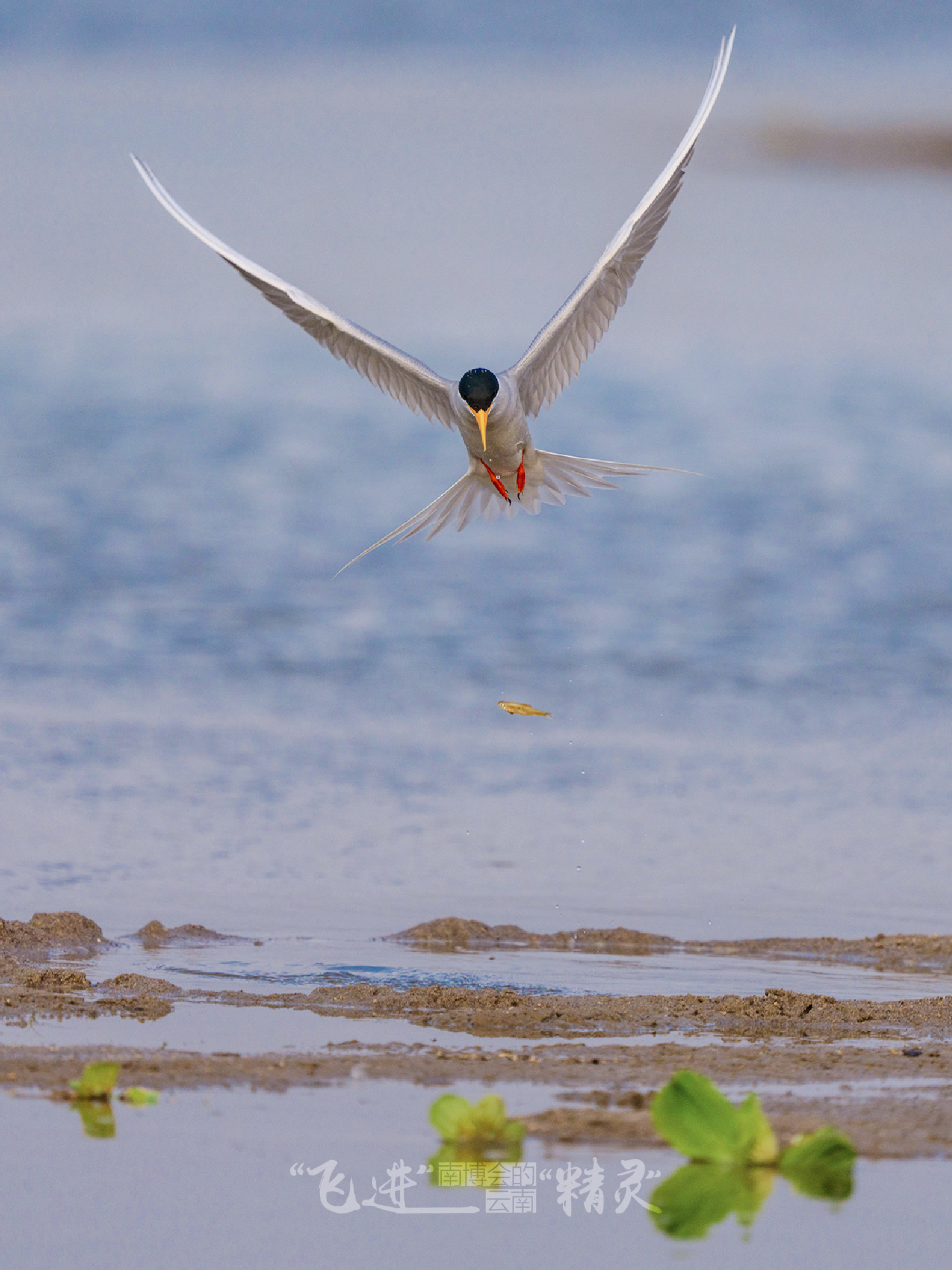 云南省文化和旅游厅