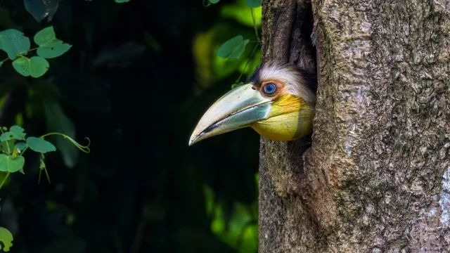 美丽云南微科普