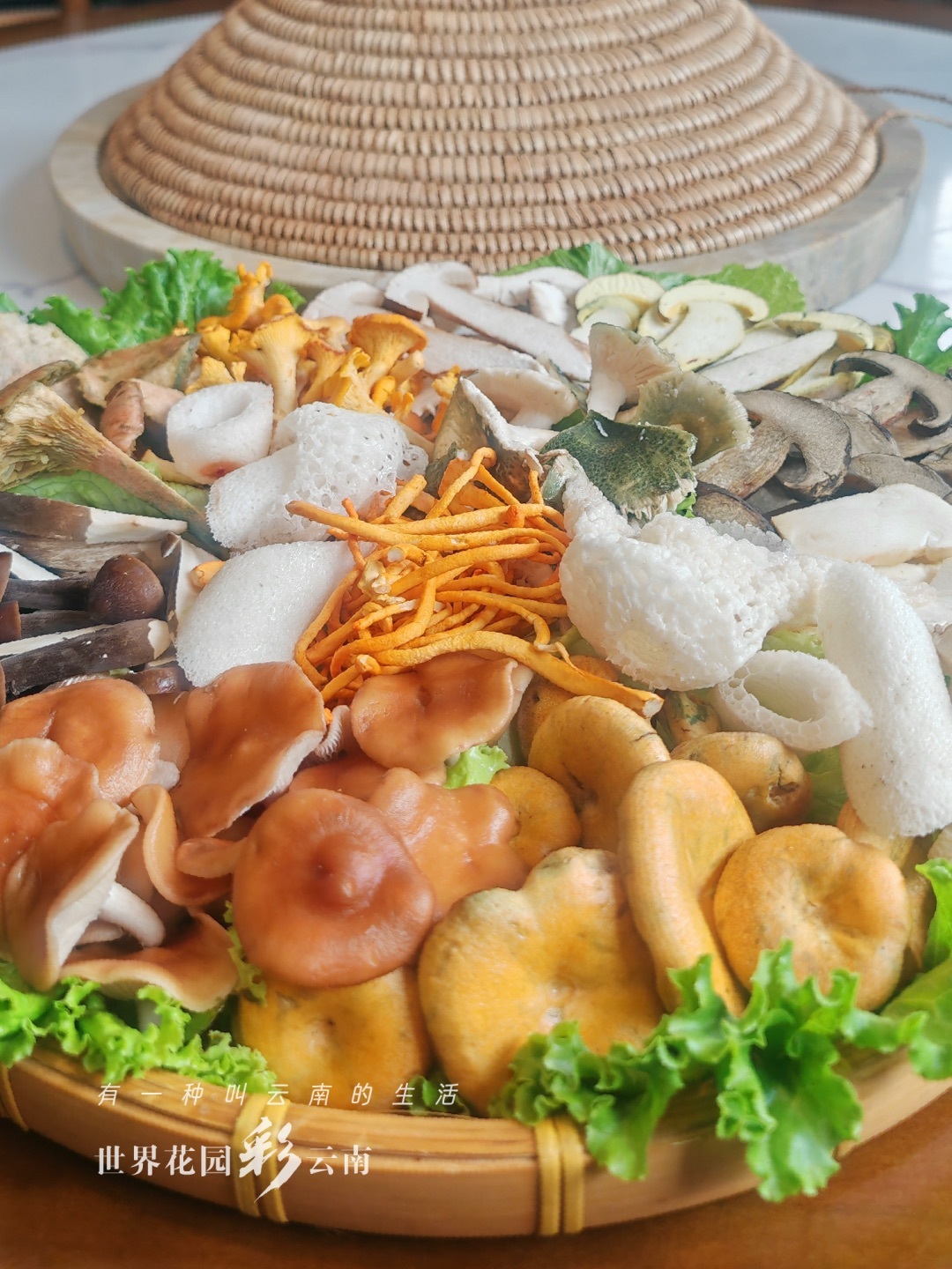 云南省文化和旅游厅