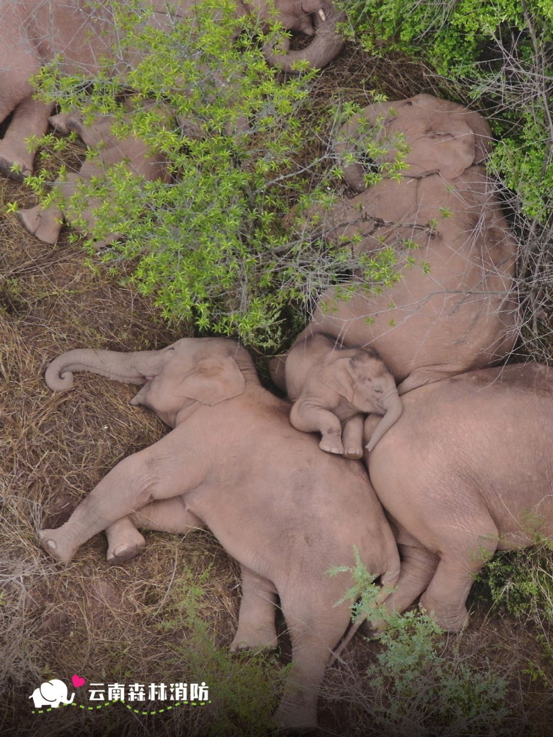 云南省文化和旅游厅