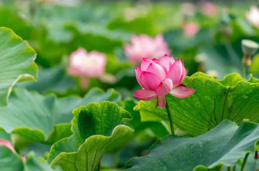 晋宁诗意的栖居地