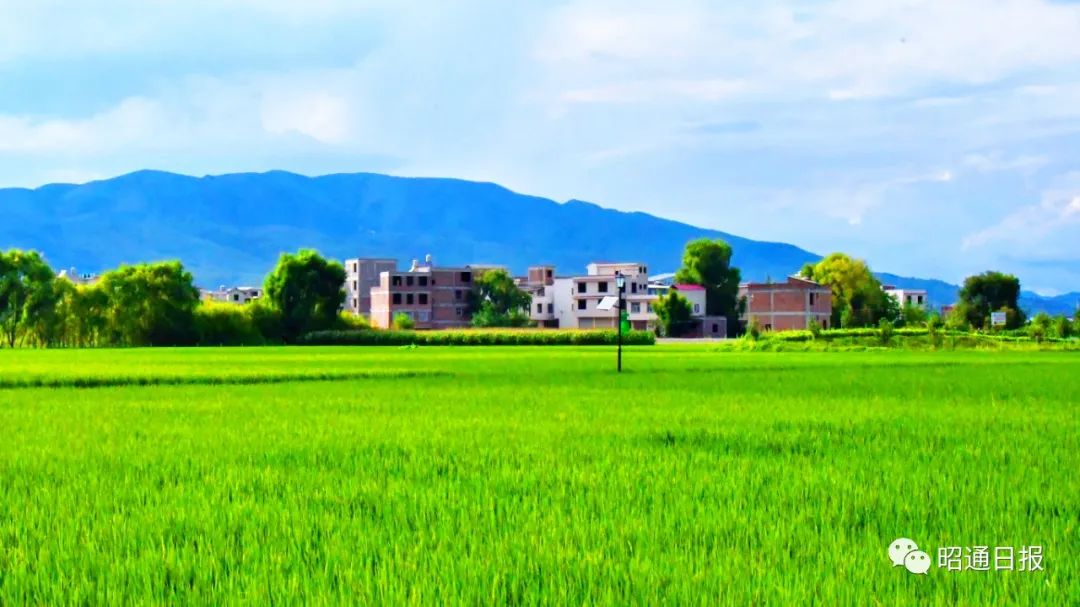 昭通日报
